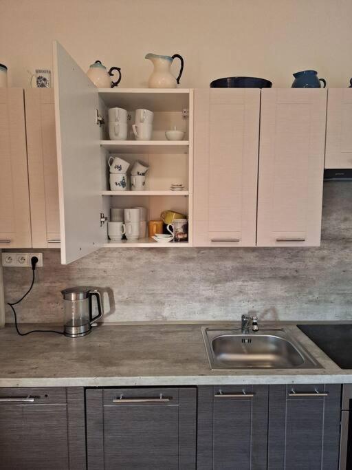 Apartman H&H Na Vysocine Střítež Esterno foto